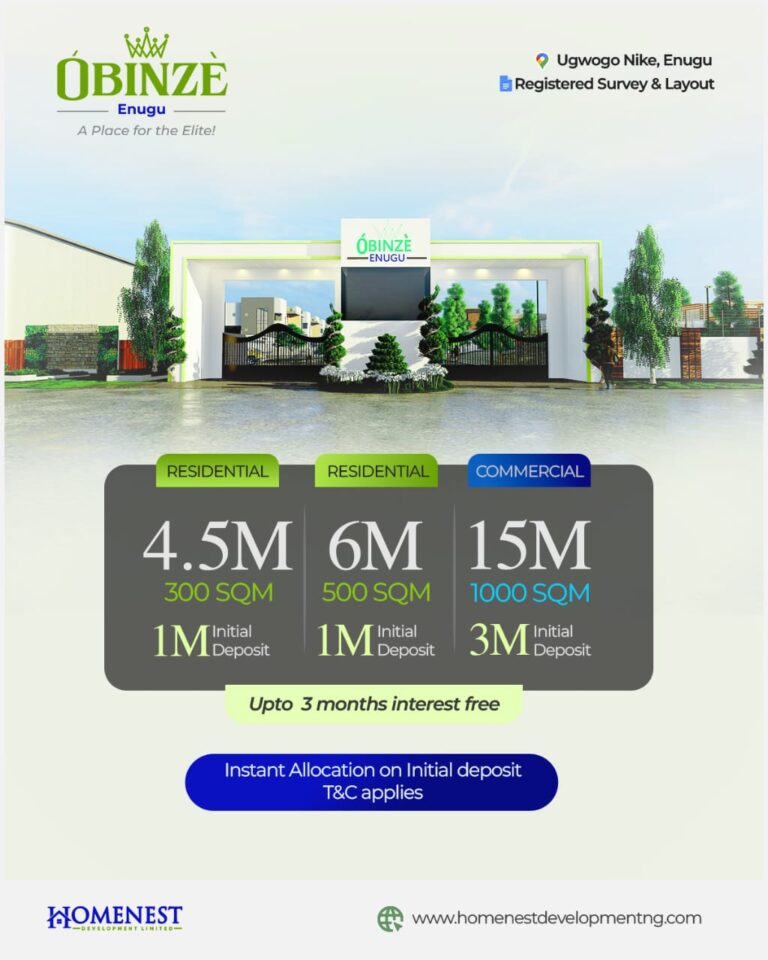 image for Obinze Enugu