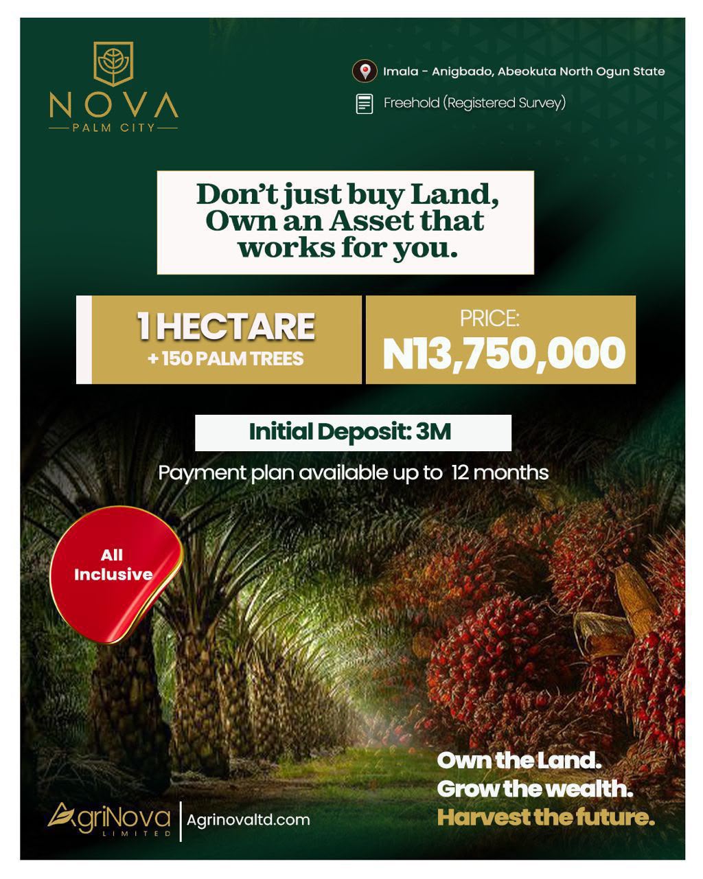 Image for Nova Palm City price
