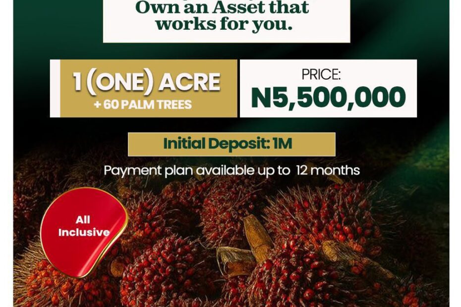 Image for Nova Palm City price