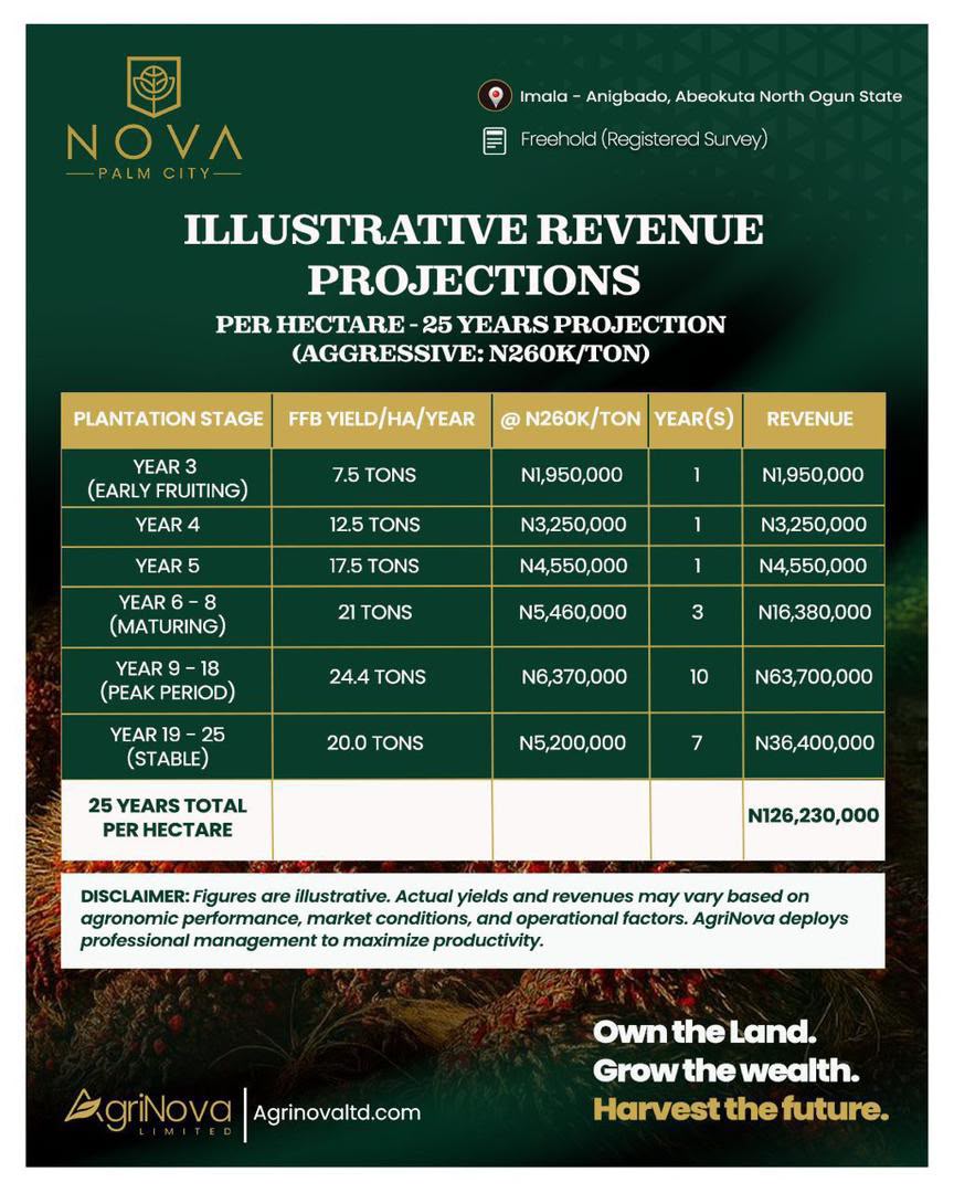 Image for Nova Palm City   payment plan